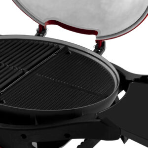 Ziegler & Brown Twin Reversible Half Hotplate