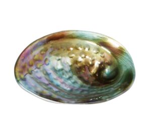 Paua Bowl Glass Small 20Cm