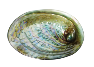 Paua Bowl Glass Medium 32Cm