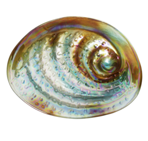 Paua Bowl Glass Large 43Cm