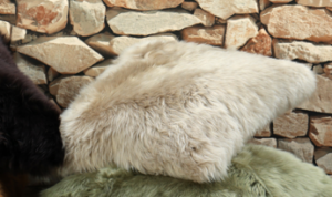 Taupe Nz Sheepskin Feather Filled Cushion 50X50Cm