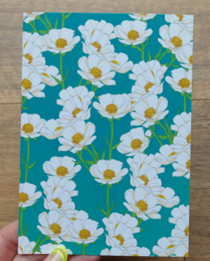 Mt Cook Buttercup Greeting Card X2 Teal - Blank In