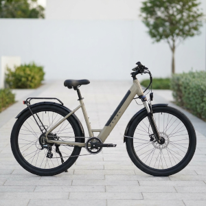 Adult Bikes & Acc