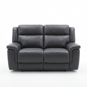 Coleman 2Erer Electric Recliner Supertek Char