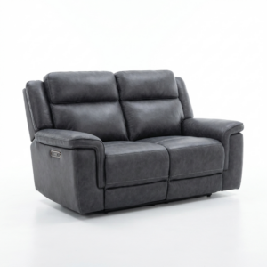 Coleman 2Erer Electric Recliner Supertek Char Disp