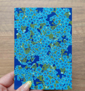Chatham Island Forget Me Not Greeting Card X2 Blue