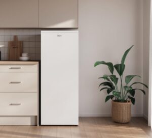 Haier Vertical Freezer 175L
