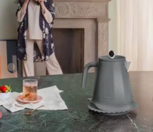 Delonghi Eclettica Gray Kettle