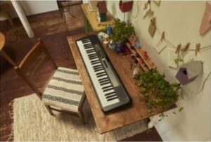 Casio Keyboard 61 Full Size Light Up Keys Black