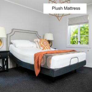 Mazon M40 Adjustable Bed King Single Plush Align