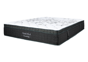 Norah Plush Queen Mattress Only
