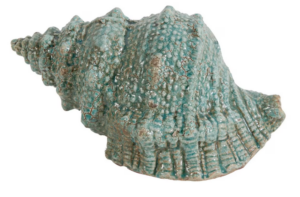 Ceramic Seashell 280X170X140