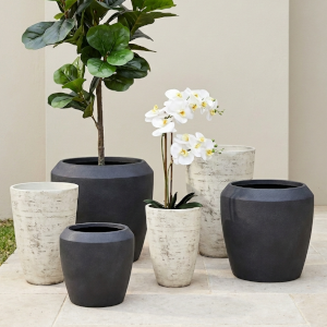 Planters & Garden