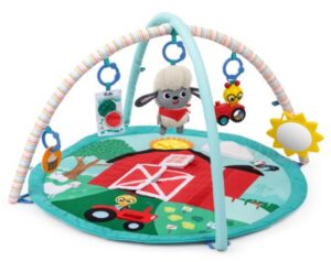 Baby Einstein Happy Harvest Touch & Feel Activity