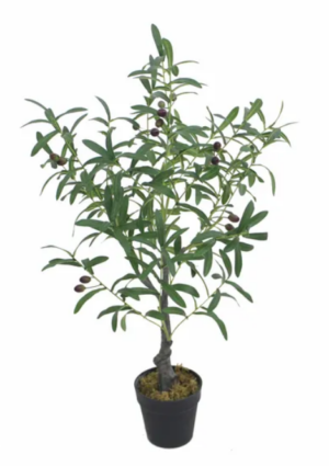 Olive Tree 850 High