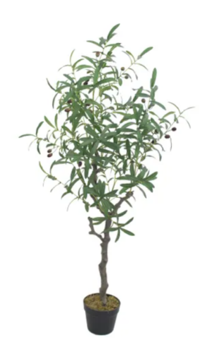 Olive Tree 1250 High On Back Order