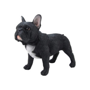 Standing Black French Bulldog 36Cm