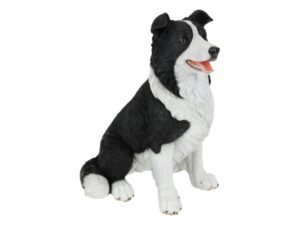 Sitting Border Collie 36Cm