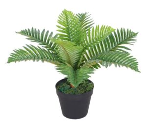 Mini Palm 50Cm High