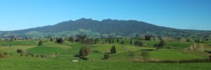 Pirongia Farm 1200X600 Nz Canvas Print Order In