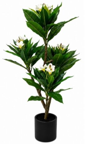 Real Touch Frangipani In Black Pot 1200H