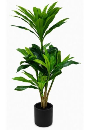 Real Touch Dracaena Tree In Black Pot 1400H