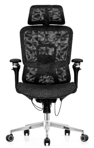Ergoflex Office Chair With Lumbar Support