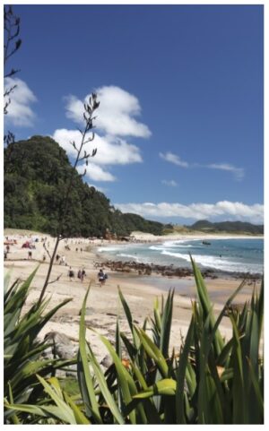 Hot Water Beach 410X665 Nz Canvas Print Order In