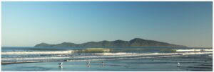 Kapiti Island 1200X400 Nz Canvas Print Order In