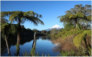 Lake Mangamahoe 960X595 Nz Canvas Print Order In
