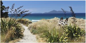 Mangawhai Heads Track 1200X600 Nz Canvas Print Ord