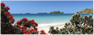 Opito Bay 1200X400 Nz Canvas Print Order In