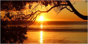 Orewa Beach Sunrise 1200X600 Nz Canvas Print Order