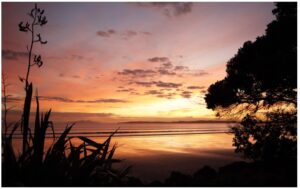 Orewa Sunrise 960X595 Nz Canvas Print Order In