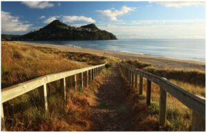 Pauanui Beack Access 960X595 Nz Canvas Print Order