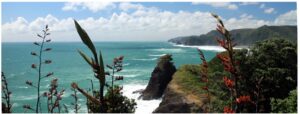 Piha Coastline 1200X400 Nz Canvas Print Order In