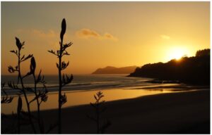 Waipu Cove Sunrise 960X595 Nz Canvas Print Order I