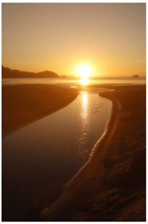 Whitianga 410X665 Nz Canvas Print Order In