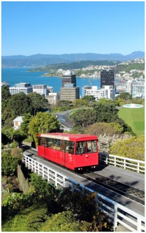 Cable Car Wellington 595X960 Nz Canvas Print Order