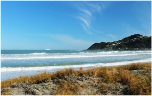 Lyall Bay 960X595 Nz Canvas Order In