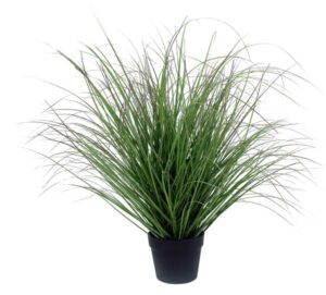 Sea Grass In Black Pot 91Cm High