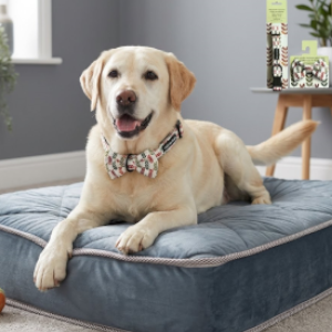 Pet Products